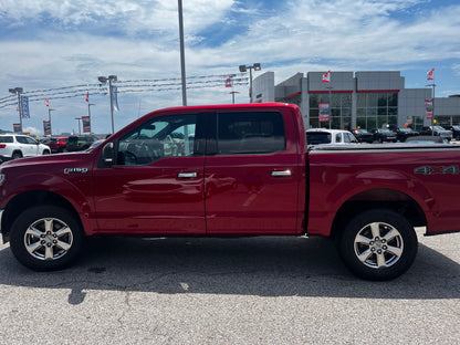 Executive Black Badge (Full-size Class)